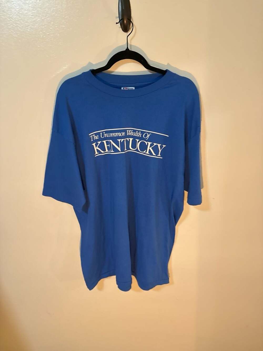 Vintage 90s Hanes Fifty-Fifty The Uncommon Wealth of Kentucky T-Shirt XXL